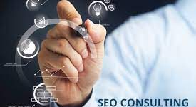 Consultation Stratégique SEO